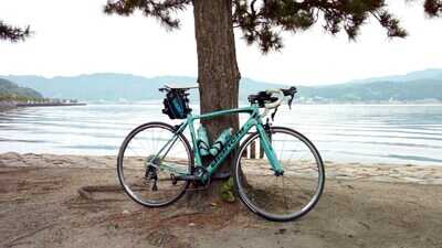 Bike leaning against tree on a beach